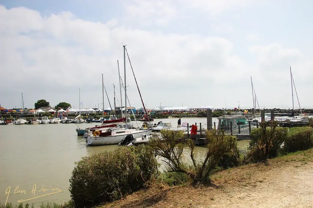 FÊTE DU PORT DU PLOMB-Nouvelle-Aquitaine-Port de plaisance de l'Houmeau-avec de petits voiliers à quai. 2023.