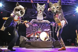 Punk A Chats